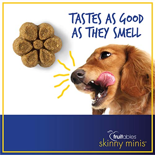 Fruitables Skinny Minis Gluten Free Chewy Dog Treats Pumpkin & Berry Flavor (3 Pack) 5 oz Each