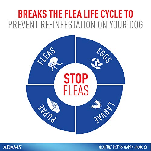 Adams Plus Flea and Tick Spot On for Dogs,