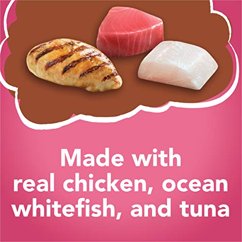 Purina Friskies Gravy Sensations Variety Packs Wet Cat Food, Surfin' & Turfin' Favorites, 36 Ounces, Pack of 12