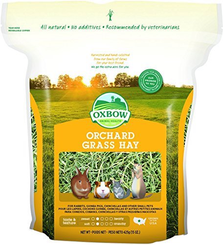 Oxbow Bene Terra HAY for Rabbits Guinea Pigs Chinchillas ORCHARD GRASS HAY 15 oz