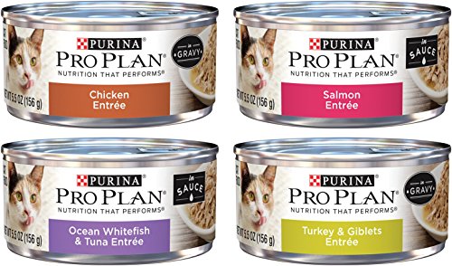 Purina Pro Plan Savor Cat Food Variety Pack, 4 Flavors, 5.5-Ounces Each (12 Total Cans)