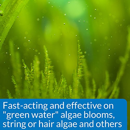 API Aquarium Algae Remover