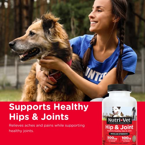 Nutri-Vet Hip & Joint Chewable Dog Supplements | Formulated with Glucosamine & Chondroitin for Dogs