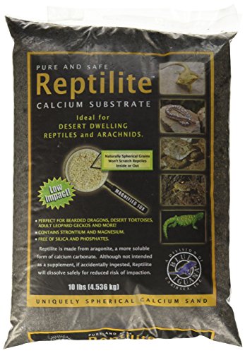 Caribsea Reptilite Habitat — iPetsPro