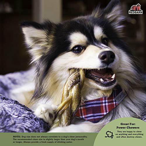 Redbarn 7" Braided Bully Sticks for Dogs. Natural, Grain-Free, Highly Palatable, Long-Lasting Dental Chews Sourced from Free-Range, Grass-Fed Cattle (3 Sticks)