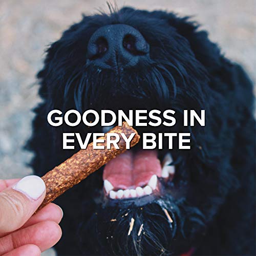 PLATO, Pet Treats, Mini Thinker Sticks Soft Chewy Dog Treats, Air-Dried in USA, Chicken, 3 oz Bags (3 Pack)