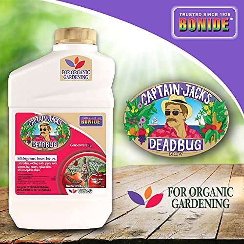 Captain Jack's Dead Bug Brew, Concentrate, Quart