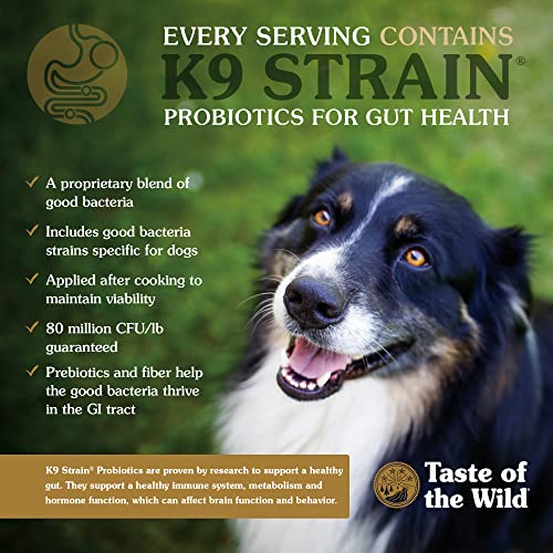 Taste of the Wild Roasted Bison and Venison High Protein Real Meat Recipes Premium Dry Dog Food with Superfoods and Nutrients Like Probiotics, Vitamins and Antioxidants for Adult Dogs or Puppies
