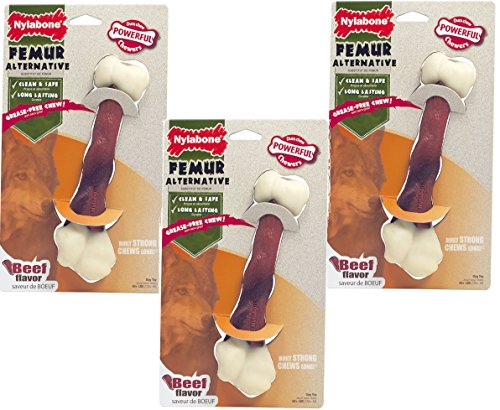 Nylabone 3 Pack of Dura Chew Alternative Beef Flavored Dog Chew - XL Femur Bones