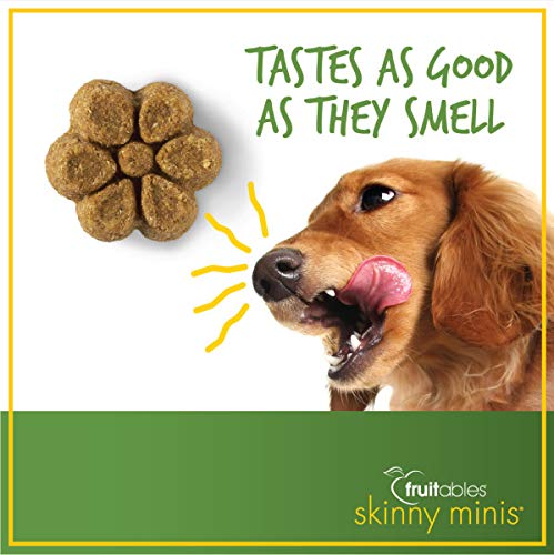 Fruitables Skinny Minis Grain Free Soft Dog Treats Watermelon Flavor (3 Pack) 5 oz Each