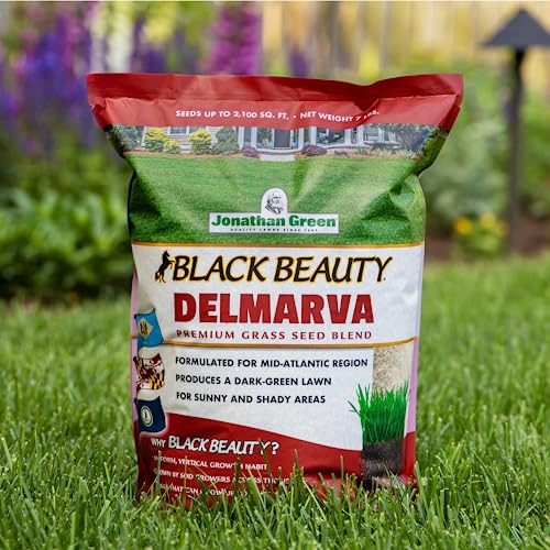 Jonathan Green Black Beauty Delmarva Grass Seed (Made for Maryland, Delaware, Virginia) - Cool Season Lawn Seed