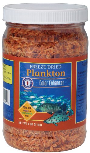 Sfb Food Plankton Fd 4oz
