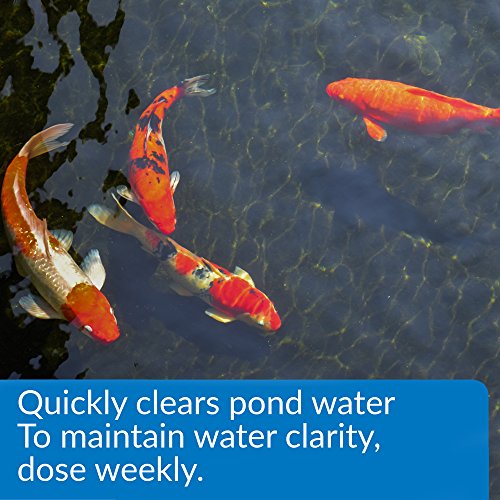 API POND ACCU-CLEAR Pond Water Clarifier 64-Ounce Bottle