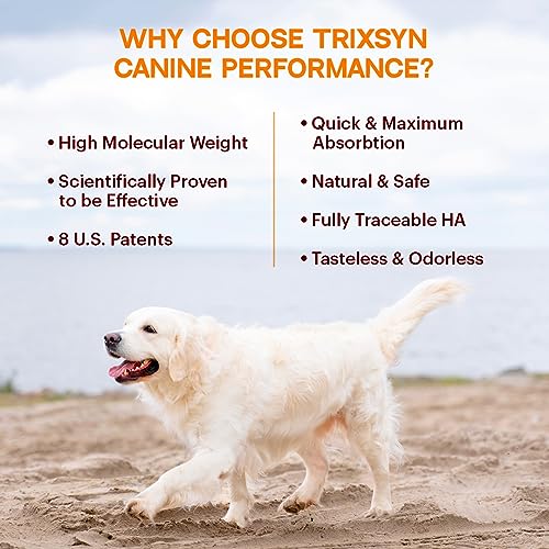 TRIXSYN Canine Performance - Dog Hip & Joint Supplement - Enhance Joint Pain Relief for Small, Large & Senior Dogs - Patented MHB3 Hylauronan Liquid Formula - 72 Day Supply