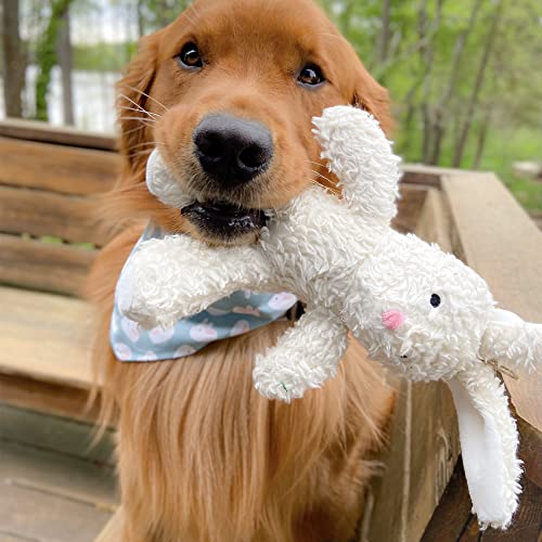 Spunky pup Organic Cotton Bunny Dog Toy | Small Cuddle Squeaker Toy | Durable Strong Double Layered and Stitched | Natural Coconut Husk Stuffed | for Small to Medium Dogs White/Cream or Brown/Natural