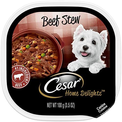 Cesar Breakfast Collection Gourmet Wet Dog Food, Pack of 24