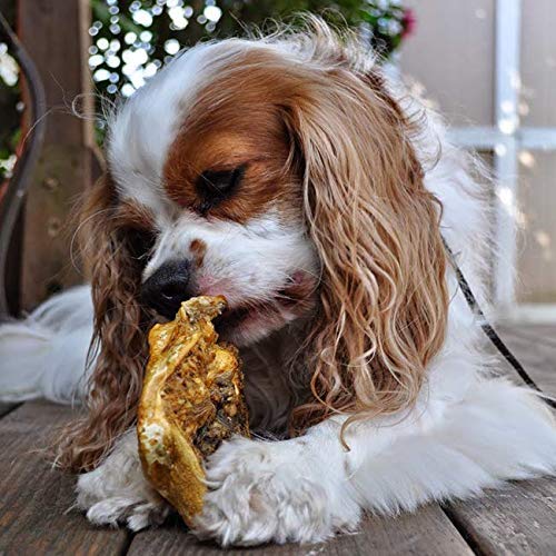 Redbarn Pig Snouts (25-Count)