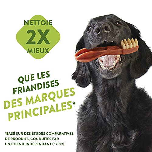 Whimzees Natural Dental Dog Chew Long lasting, Variety Box Mixed Shapes, Small, 56 Pieces