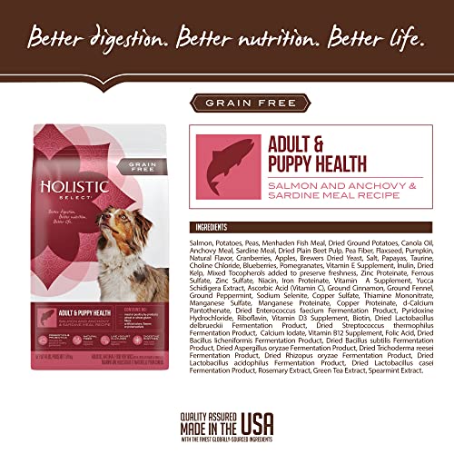 Holistic Select Natural Grain Free Dry Dog Food, Adult & Puppy Salmon