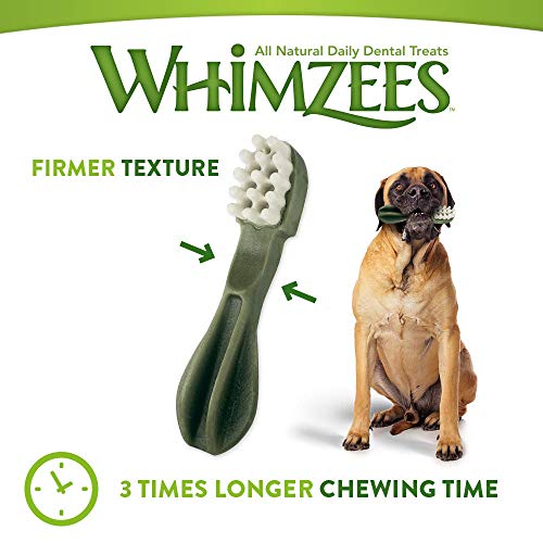 Whimzees Whz304 6 Count Toothbrush Star Value Bag Doggie Dental Chews, Large