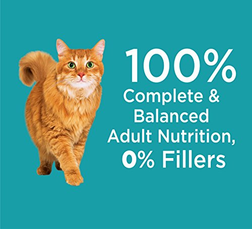 Iams Dry Food Proactive Health Indoor Weight and Hairball Care Dry Cat Food, 3.5 Pound