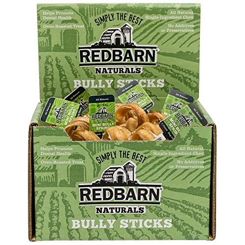 Redbarn - Mini Bully Spring Dog Treat, Crunchy Texture, 60 Count Box