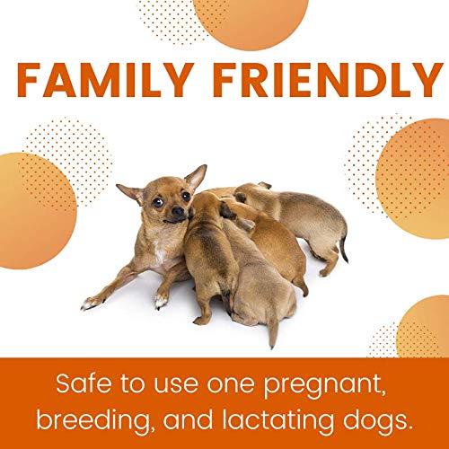 ZoGuard Plus Flea and Tick Prevention for Dogs (Small - 5-22 lb)