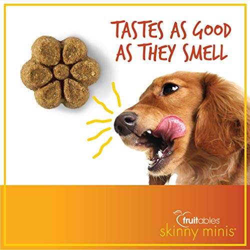 Fruitables Skinny 5 Ounce Minis Pumpkin & Mango Soft & Chewy Dog Treats