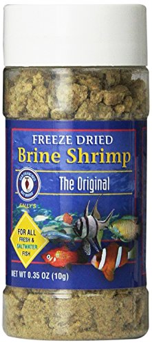 San Francisco Bay Brand ASF71104 Freeze Dried Brine Shrimp for Fresh and Saltwater Fish, 10gm