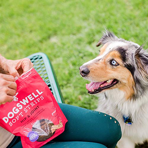 Dogswell 100% Meaty Soft Treats for Dogs, Made in the USA with Glucosamine, Chondroitin & New Zealand Green Mussel for Healthy Hips