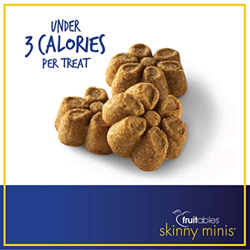 Fruitables Skinny Minis Gluten Free Chewy Dog Treats Pumpkin & Berry Flavor (3 Pack) 5 oz Each