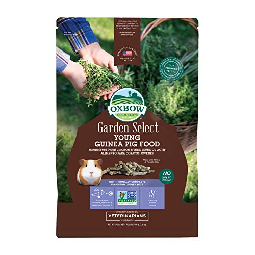 Oxbow Animal Health Garden Select Young Guinea Pig Food, Garden-Inspired Recipe for Young Guinea Pigs, No Soy or Wheat, Non-GMO, Made in The USA, 4 Pound Bag