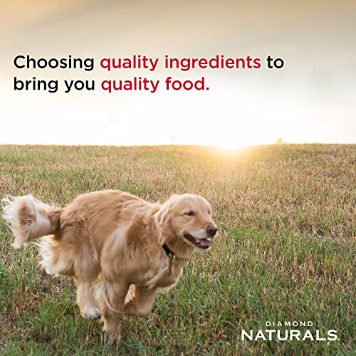 Diamond Naturals Dry Senior Dog Food Formula With Protein, Probiotics, Superfoods, And Antioxidants