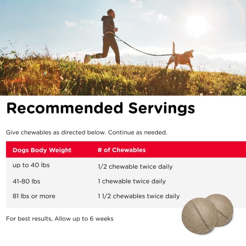 Nutri-Vet Hip & Joint Chewable Dog Supplements | Formulated with Glucosamine & Chondroitin for Dogs