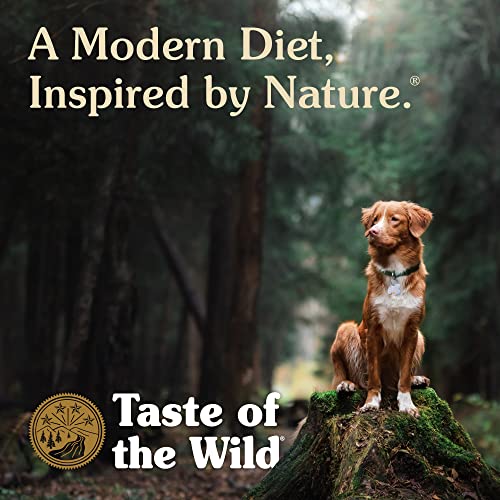 Taste of the Wild High Protein Real Meat Grain-Free Recipes Wet Canned Dog Food, Made with Superfoods and Other Premium Ingredients That Include Sources of Vitamins and Antioxidants