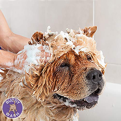 Buddy Wash 2-in-1 Dog Shampoo and Conditioner for Dog Grooming, Lavender & Mint, 1 gal. Bottle