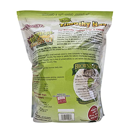 F.M. Brown's Tropical Carnival Natural Timothy Hay for Guinea Pigs, Rabbits, and Other Small Animals, with High Fiber for Healthy Digestion - 24 oz