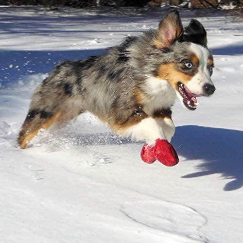 Pawz Dog Boots Medium | Dog Paw Protection with Dog Rubber Booties | Dog Booties for Winter, Rain and Pavement Heat | Waterproof Dog Shoes for Clean Paws | Paw Friction for Dogs