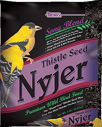 F.M. Brown's Song Blend Nyjer Thistle Seed