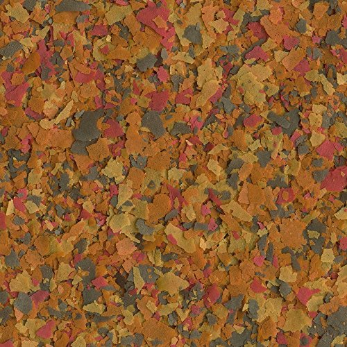 TetraColor Tropical Flakes with Natural Color Enhancer