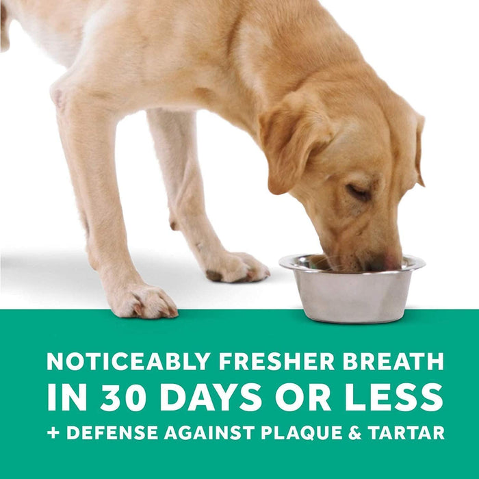 TropiClean Fresh Breath Plaque Remover Pet Water Additive 33.8oz (Pack of 2) - Packaging May Vary