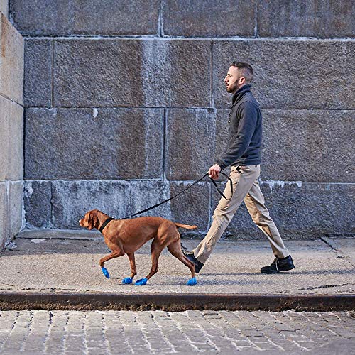 Pawz Dog Boots Medium | Dog Paw Protection with Dog Rubber Booties | Dog Booties for Winter, Rain and Pavement Heat | Waterproof Dog Shoes for Clean Paws | Paw Friction for Dogs