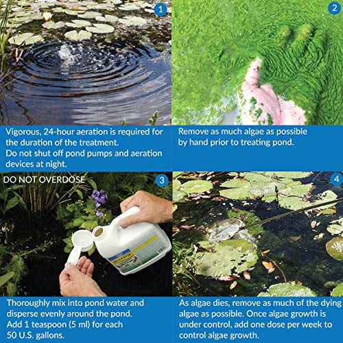 API Pond ALGAEFIX Algae Control, Effectively Controls Green Water Algae, String or Hair Algae and Blanketweed, Use as Directed When Algae Blooms and as Regular Care