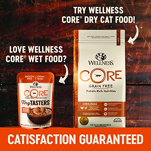 Wellness CORE Tiny Tasters (Pack of 12)