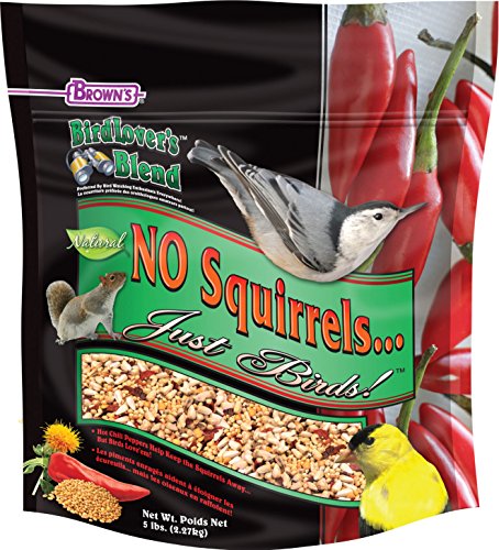 Brown's BirdLover's Blend No Squirrels Just Birds Bird Food