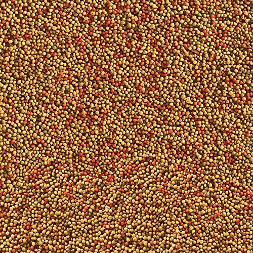 Tetra 77035 TetraFin Floating Variety Pellets, 1.87-Ounce, 370-ml