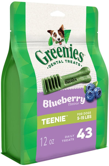 Gn Flavors Blueberry 12oz Teenie 43ct