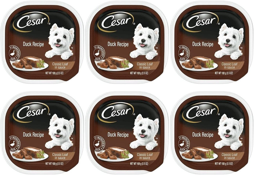 6 Individual Trays of CESAR Canine Cuisine Wet Dog Food with Duck, 3.5 oz. ea