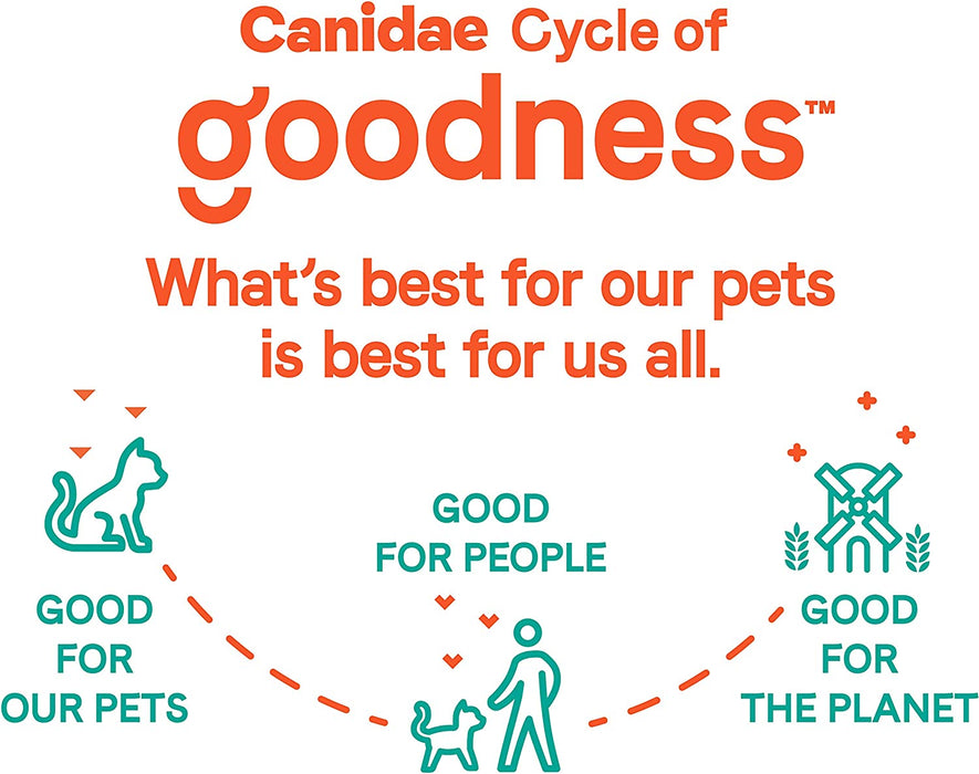 Canidae Goodness Premium Dry Cat Food, Focused Nutrition for Healthy Cats