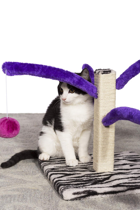 Prevue Pet Products Kitty Power Bounce 'n Spring Scratcher Furniture purple Small